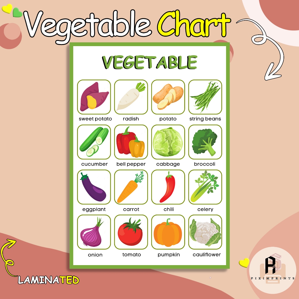 Vegetables Chart Learning Materials for Kids (Laminated) | PiXimprints ...