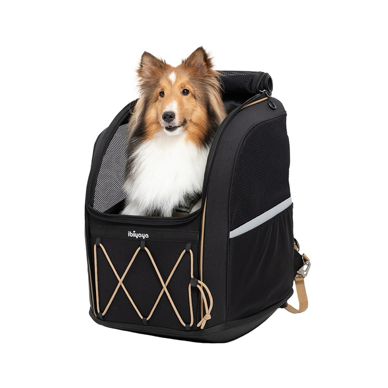 Dog carrier shopee hotsell