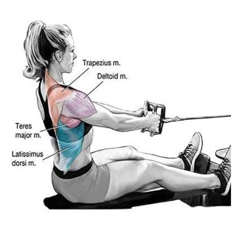 Corde à Triceps En Nylon Avec Poignées - 70/85/100 Cm, Pour Entraînement Fitness, Biceps, Dos, épaules