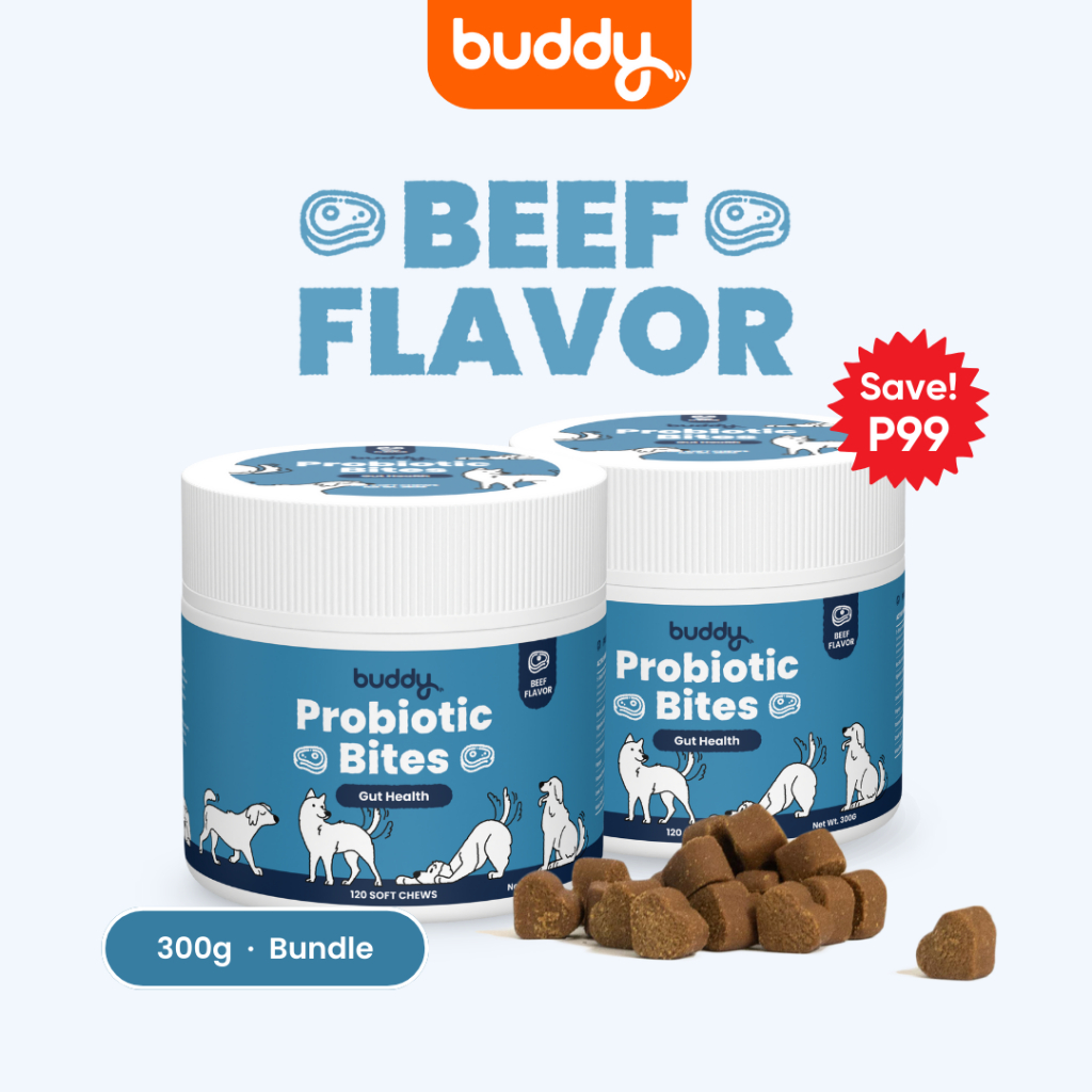Buddy Probiotic Bites for Dog Gut Health Dog Treats and Appetite