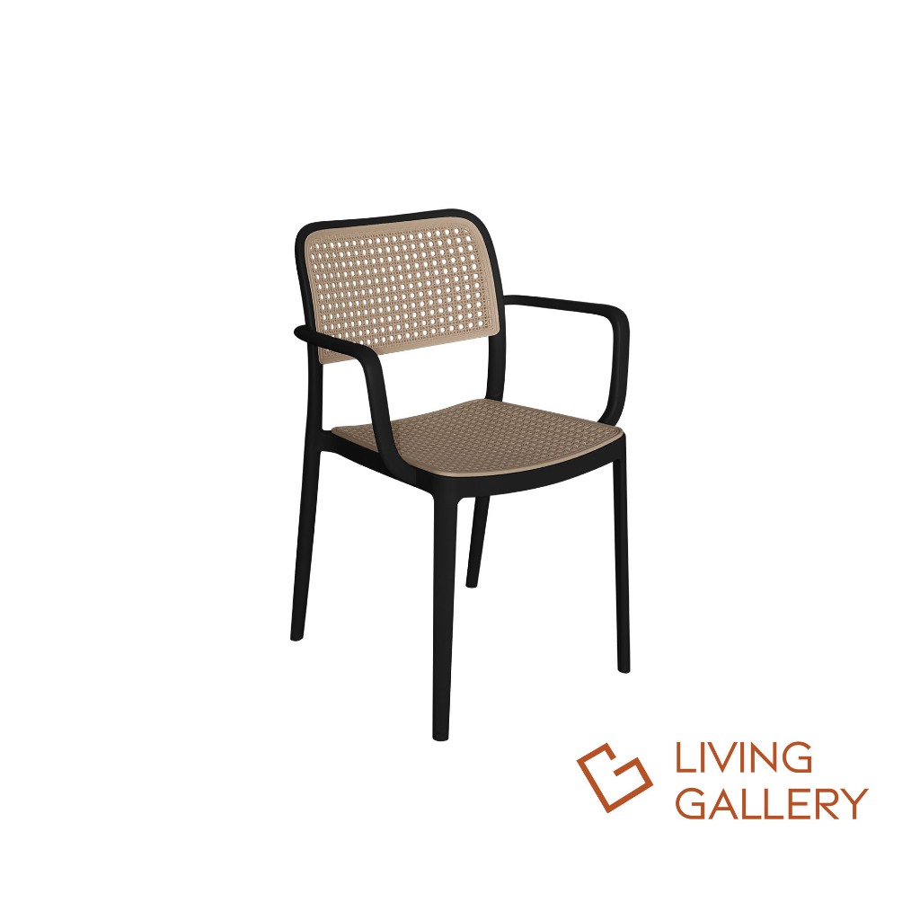 Living Gallery Plastic Rattan Chair | Shopee Philippines