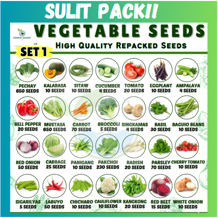 (SET 1) SULIT PACK! VEGETABLE SEEDS! (Pechay Sitaw Okra Talong Sili ...