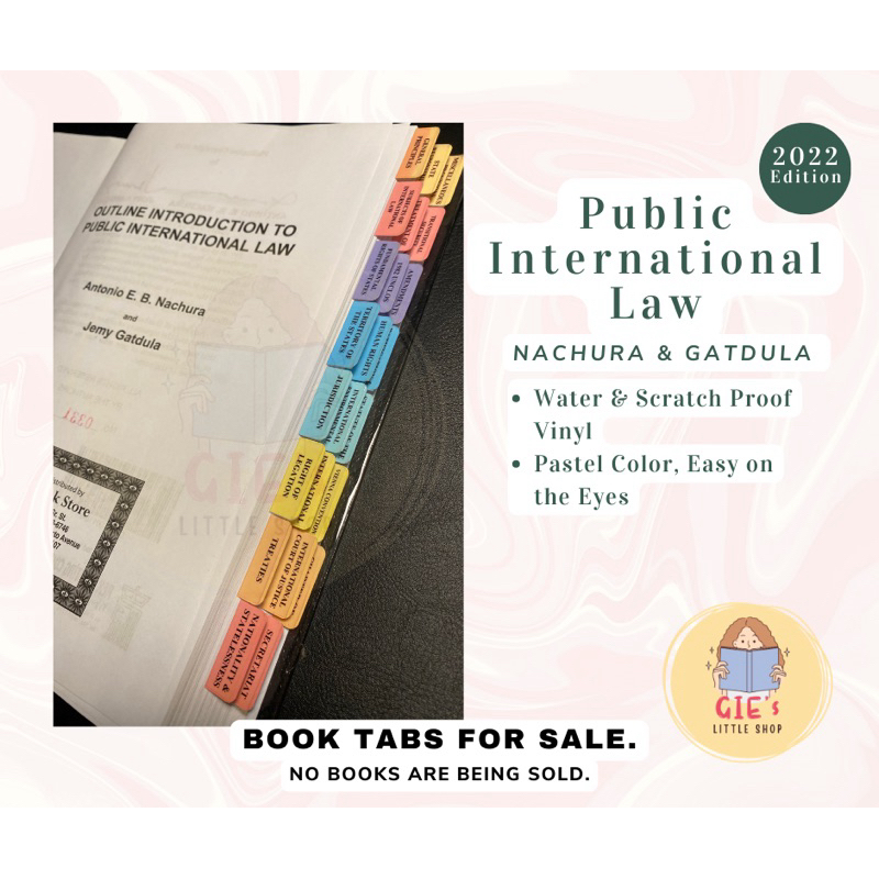 Public International Law By Nachura & Gatdula 2022 Edition REX Books ...