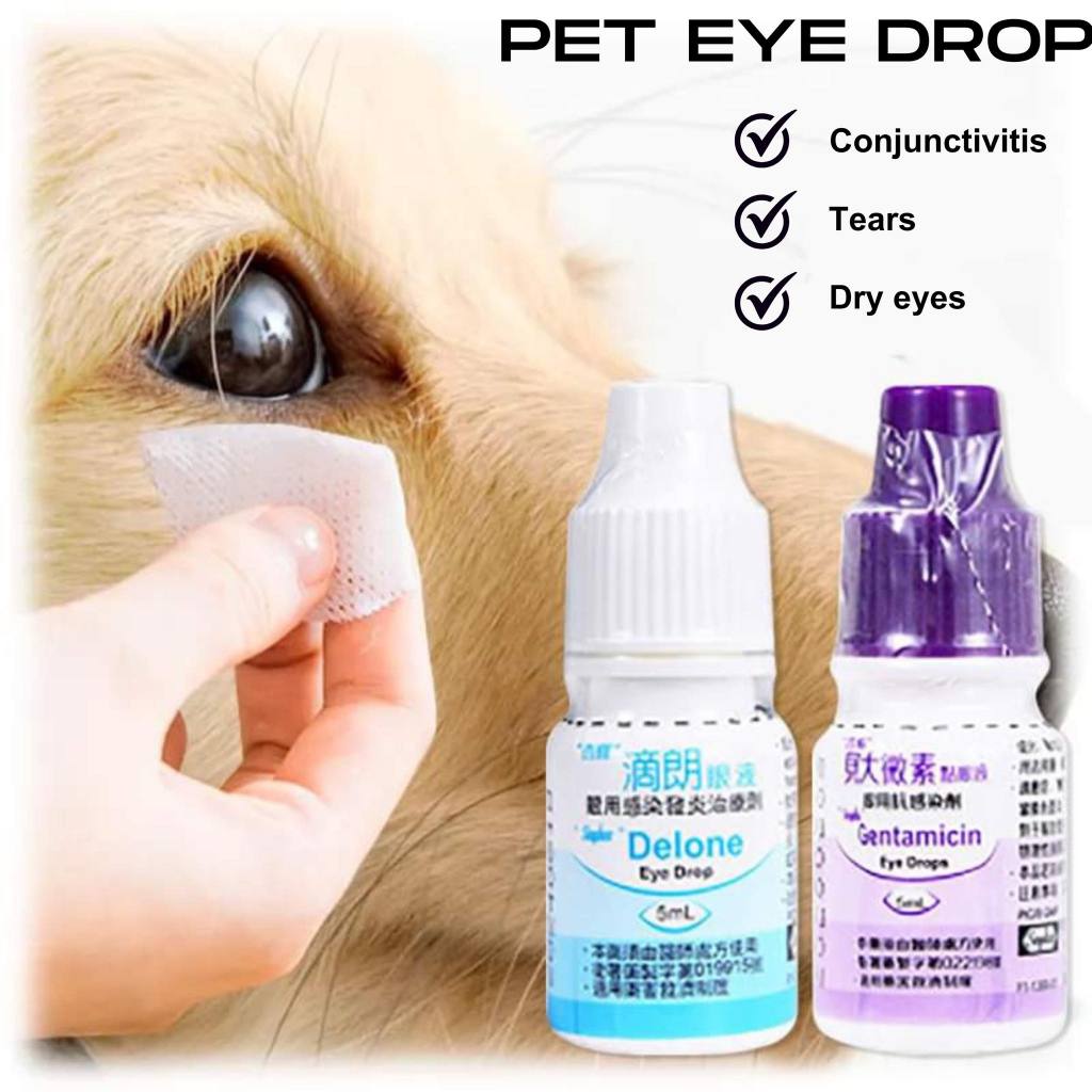 Sinphar Gentamicin Eye Drops for Pets Cat and Dog Eye Infection Removes ...