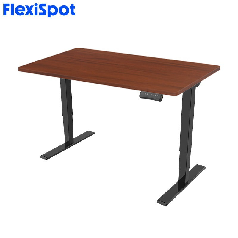 FlexiSpot E5 Electric Ergonomic Standing Desk Height Adjustable 2-Motor ...