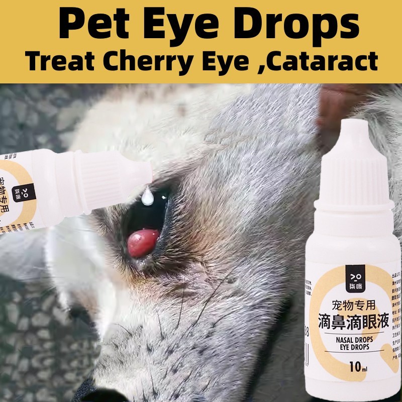 Dog Eye Drop Gentamicin Eye Drop For Dog Dog Eye Drops For Cloudy Eyes