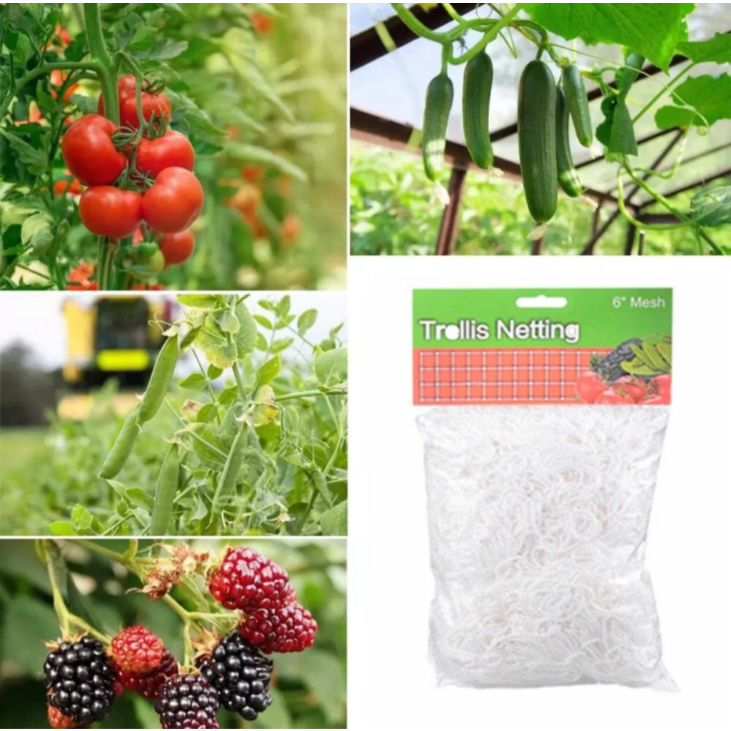 Gardening support plant climbing net Planting vine nylon net | Shopee ...