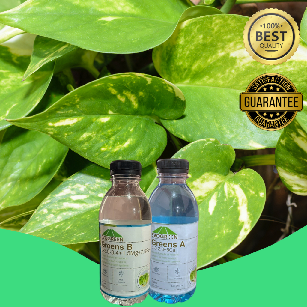 EVOGREEN Hydroponic Solution A&B Set | hydroponic nutrient solution for ...