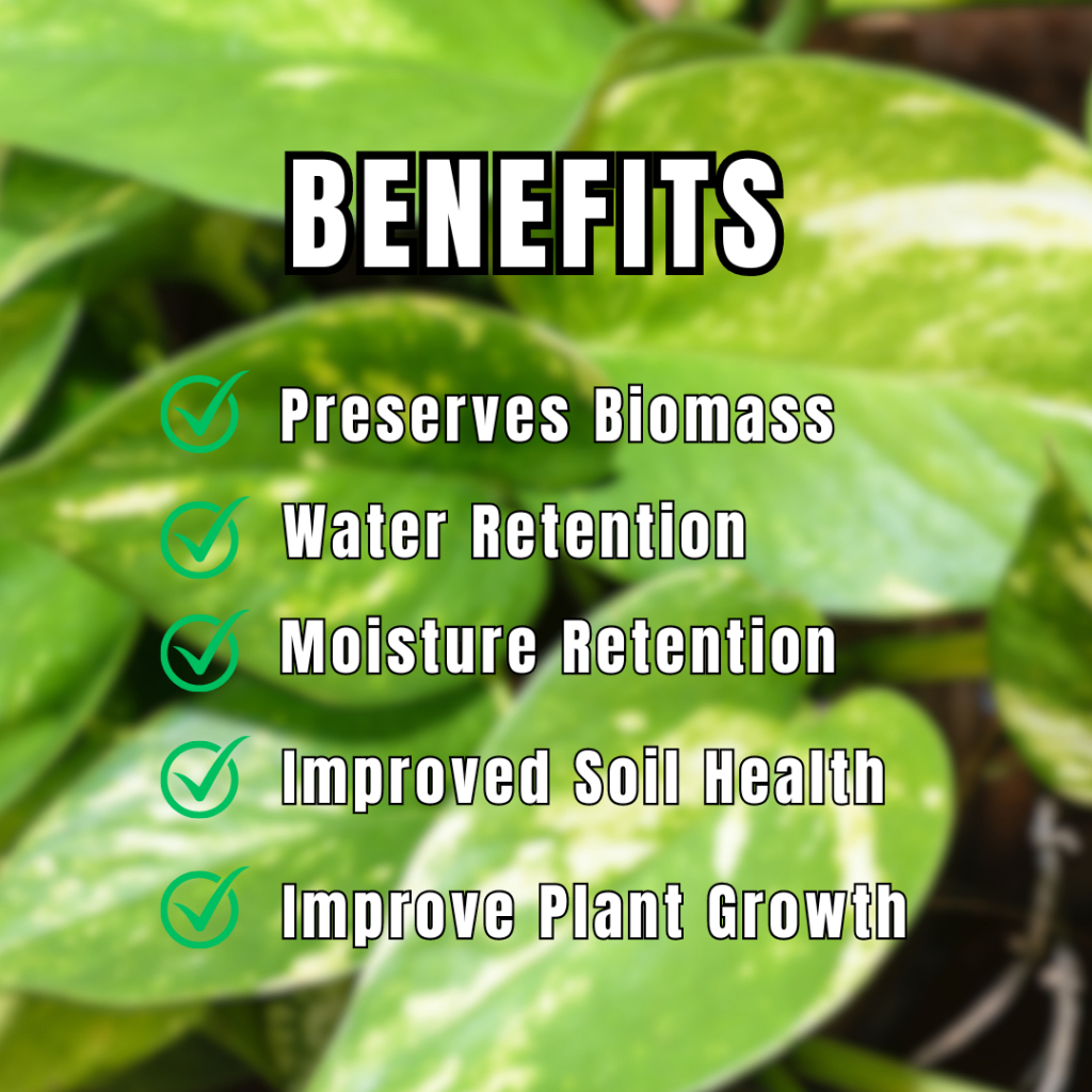 EVOGREEN Hydroponic Solution A&B Set | hydroponic nutrient solution for ...