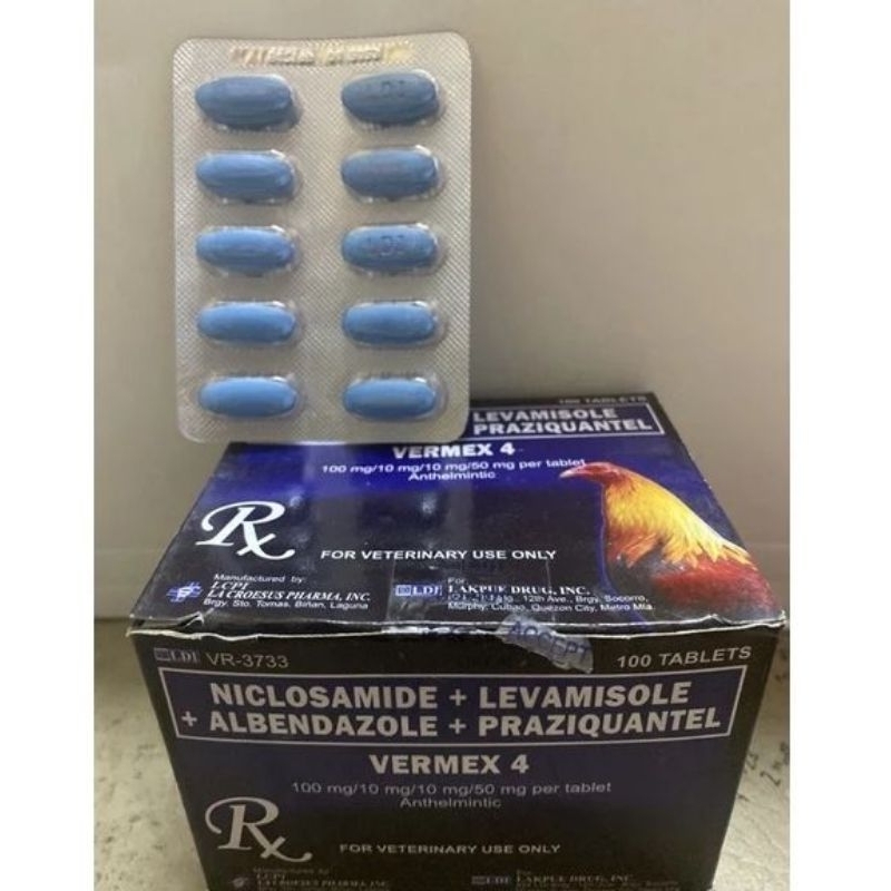 VERMEX tablet 10's/1banig | Shopee Philippines