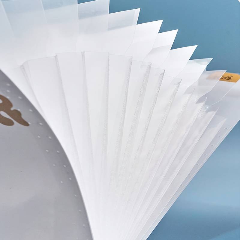 LUMISPARK ACCORDION Transparent Insert File Folder | Free Tags A4 ...