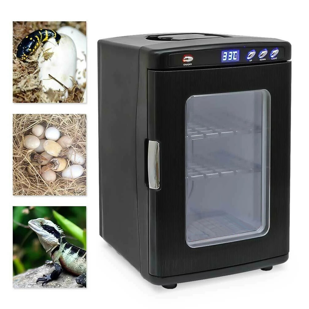 Hatch Box Snake Lizard Reptile Egg Hatching Eggs Device Climbing Pet ...