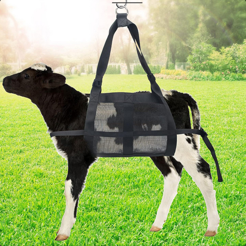 Livestock Weighing Strap Calf Hanging Weighing Scale Sling for Goats ...