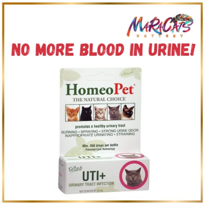 Homeo Pet Feline UTI+ Renal and Kidney Care for Cats | Shopee Philippines - Homeopathic Treatment For Feline Uti Pain Relief