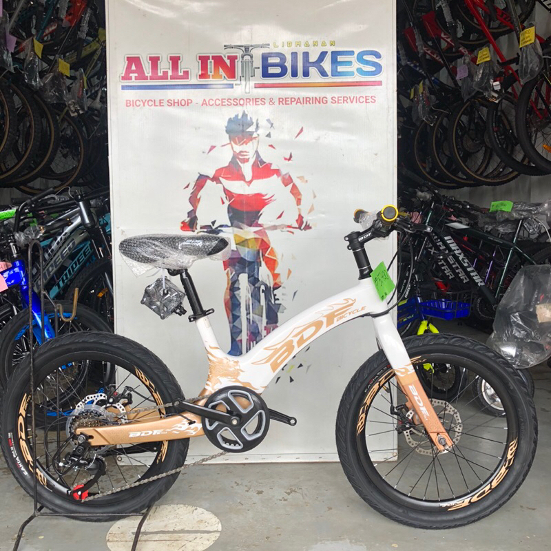 BDF 20er Alloy Frame & Alloy Fork 1x7Spd With Freebies | Shopee Philippines