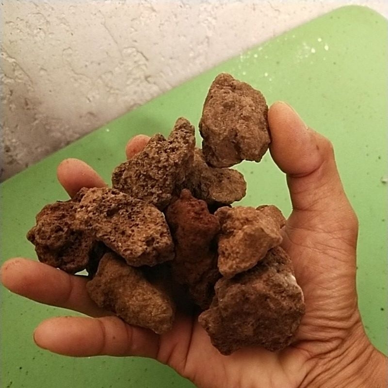Lava rocks(substrate for your aquarium tank) | Shopee Philippines