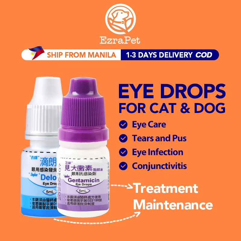 5ml Gentamicin Pet Eyes Drop for Cat and Dog Pet Eye Infection ...