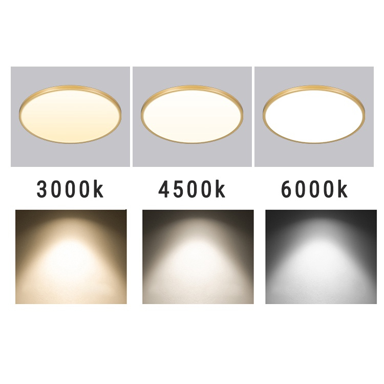 PHILIPS Modern Ceiling Light LED Living Room Lights Tri Colors 3 Colors ...