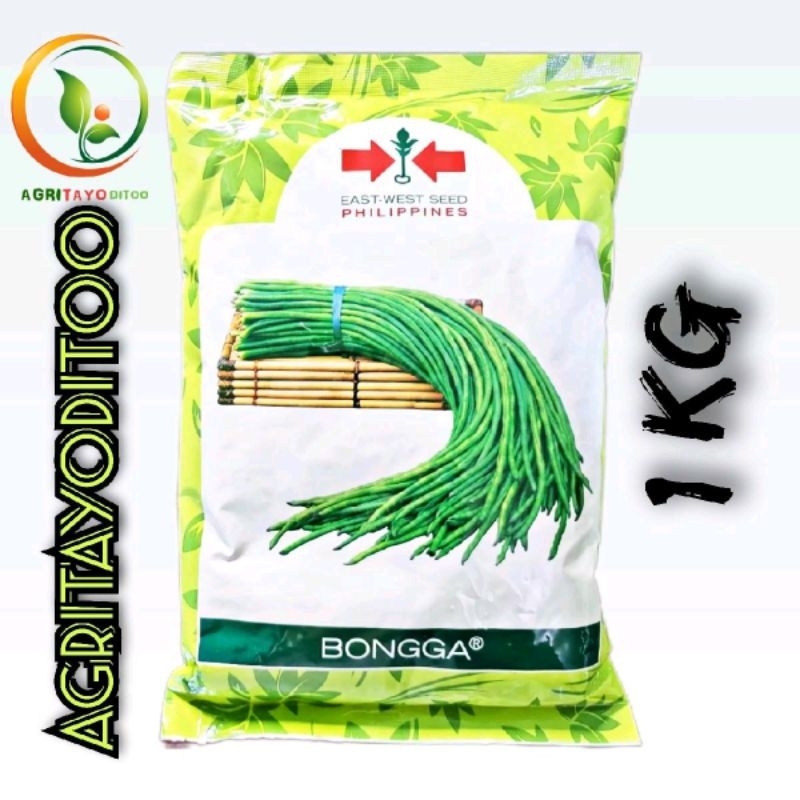 BONGGA POLE SITAW (1 KILO) by EAST WEST SEEDS | Shopee Philippines