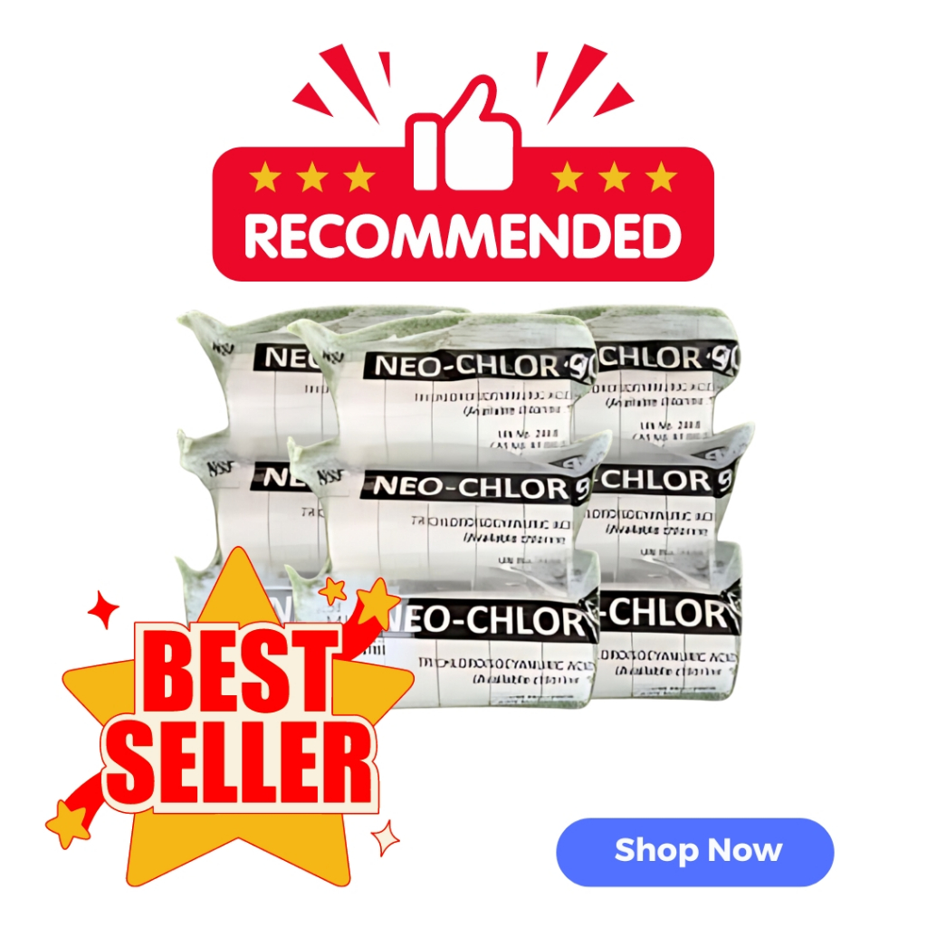 SWIMMING POOL TCCA NEO-CHLOR TABLET (1kg) | Shopee Philippines