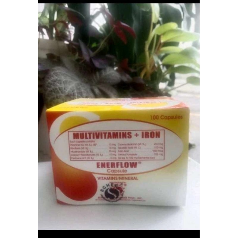 MULTIVITAMINS+IRON ENERFLOW 100CAPSULE Shopee Philippines