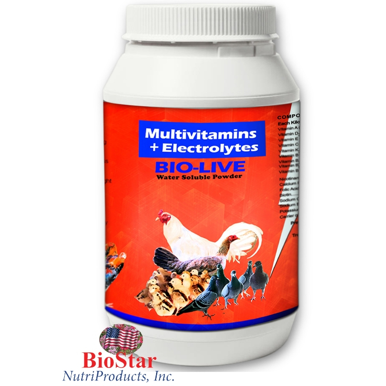 BIOLIVE MULTIVITAMINS ELECTROLYTE | Shopee Philippines
