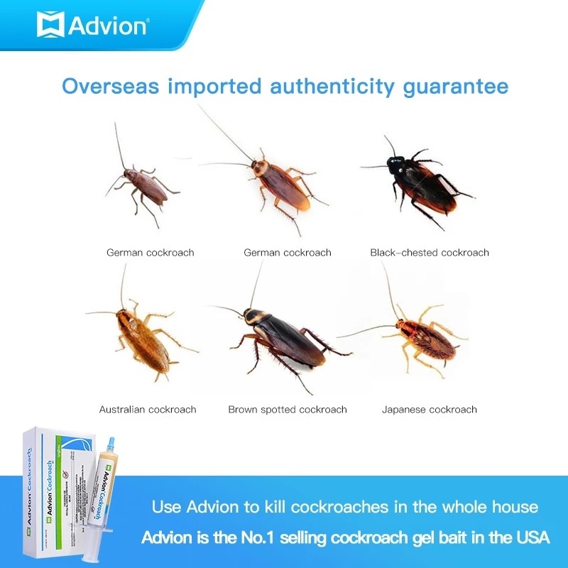 Cockroach Gel Bait, 30g, 1 Plunger and 1Tip, Syngenta Advion cockroach ...