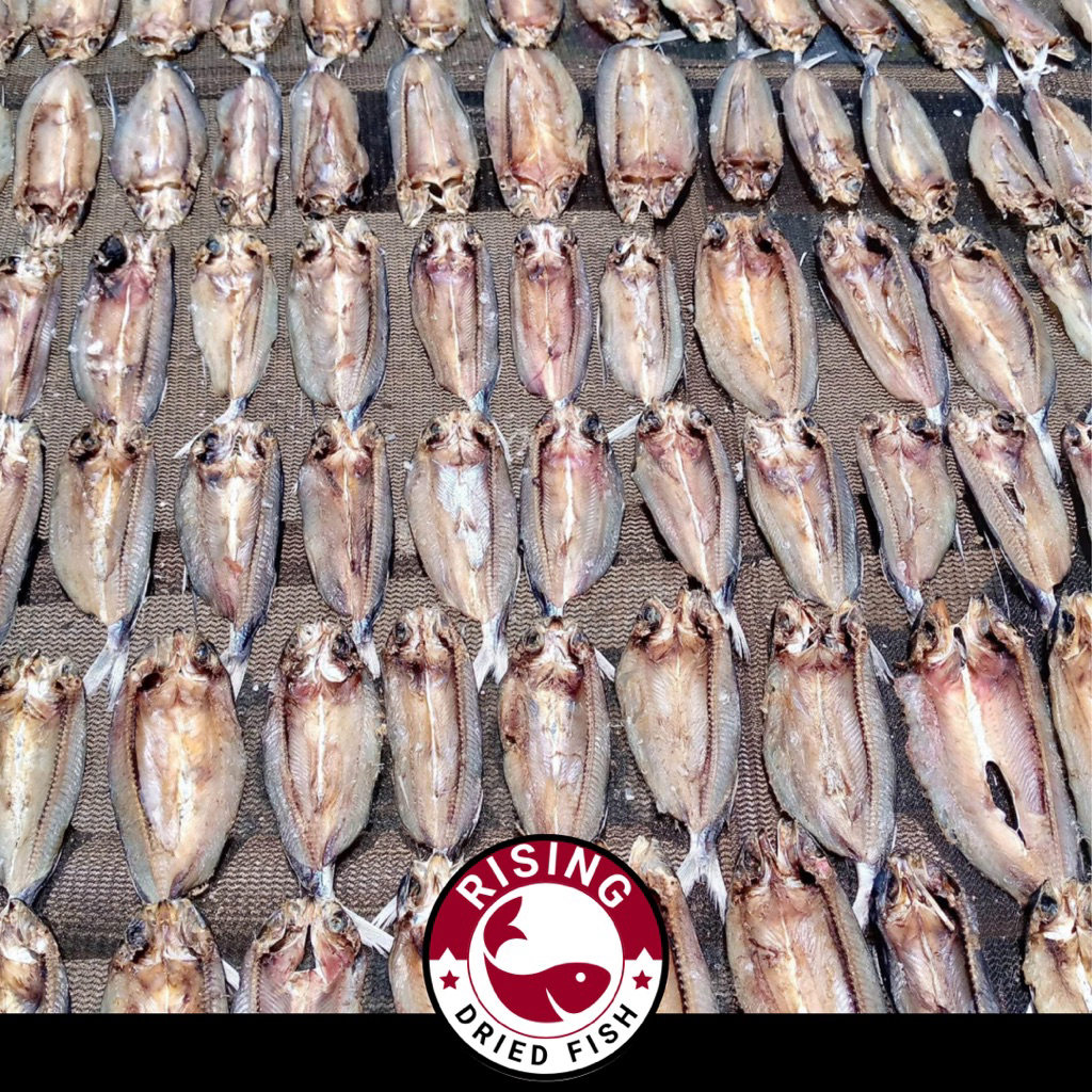 100g Premium Flying Fish Dried Cebu - Authentic Filipino Daing ( in ...