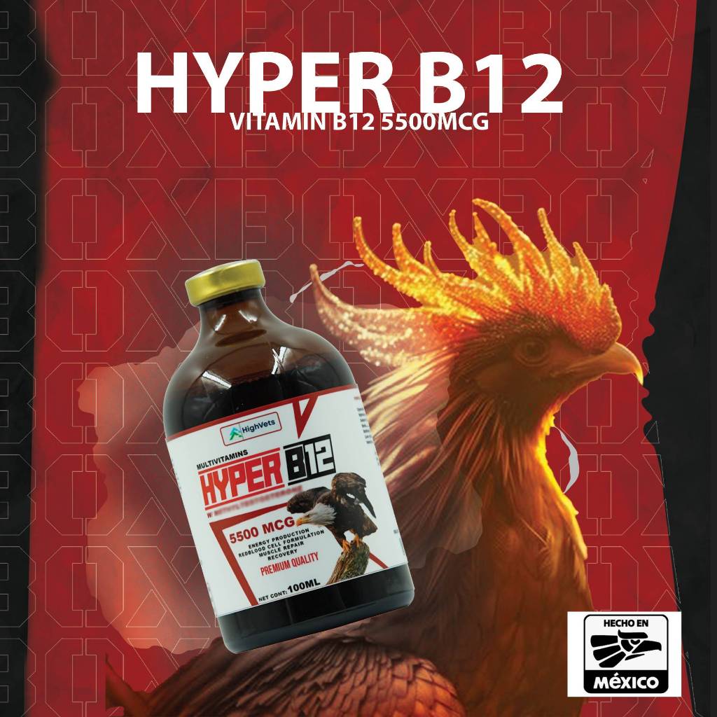 Shop hyper b12 for Sale on Shopee Philippines