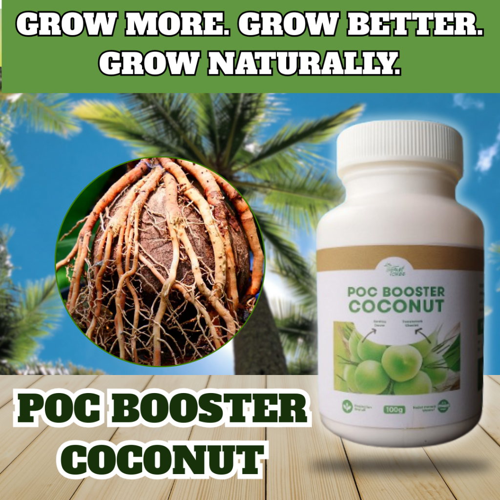 Organic Coconut Booster for Fast Root Growth (POC) | Shopee Philippines