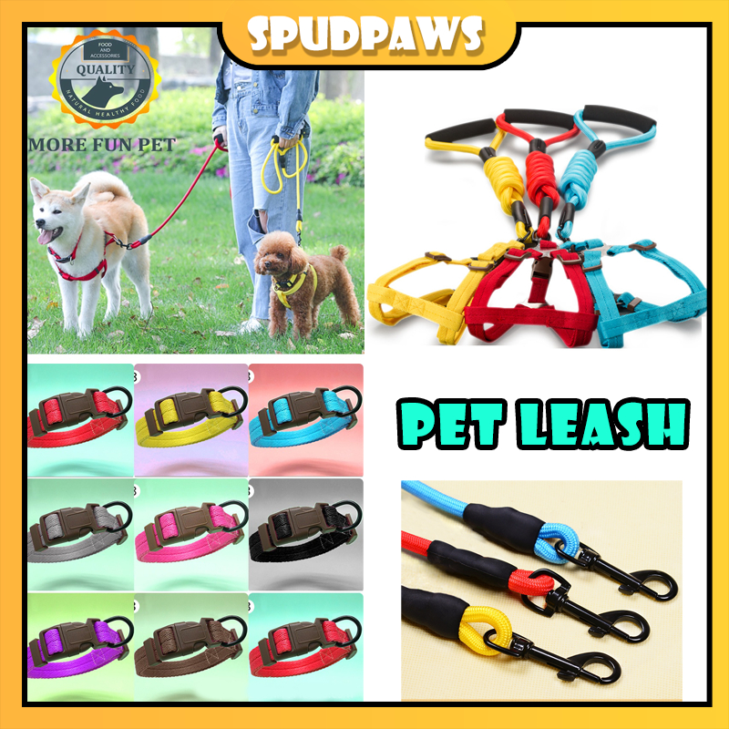 Dog traction rope large, medium and small dogs Teddy Bear Golden Fur ...