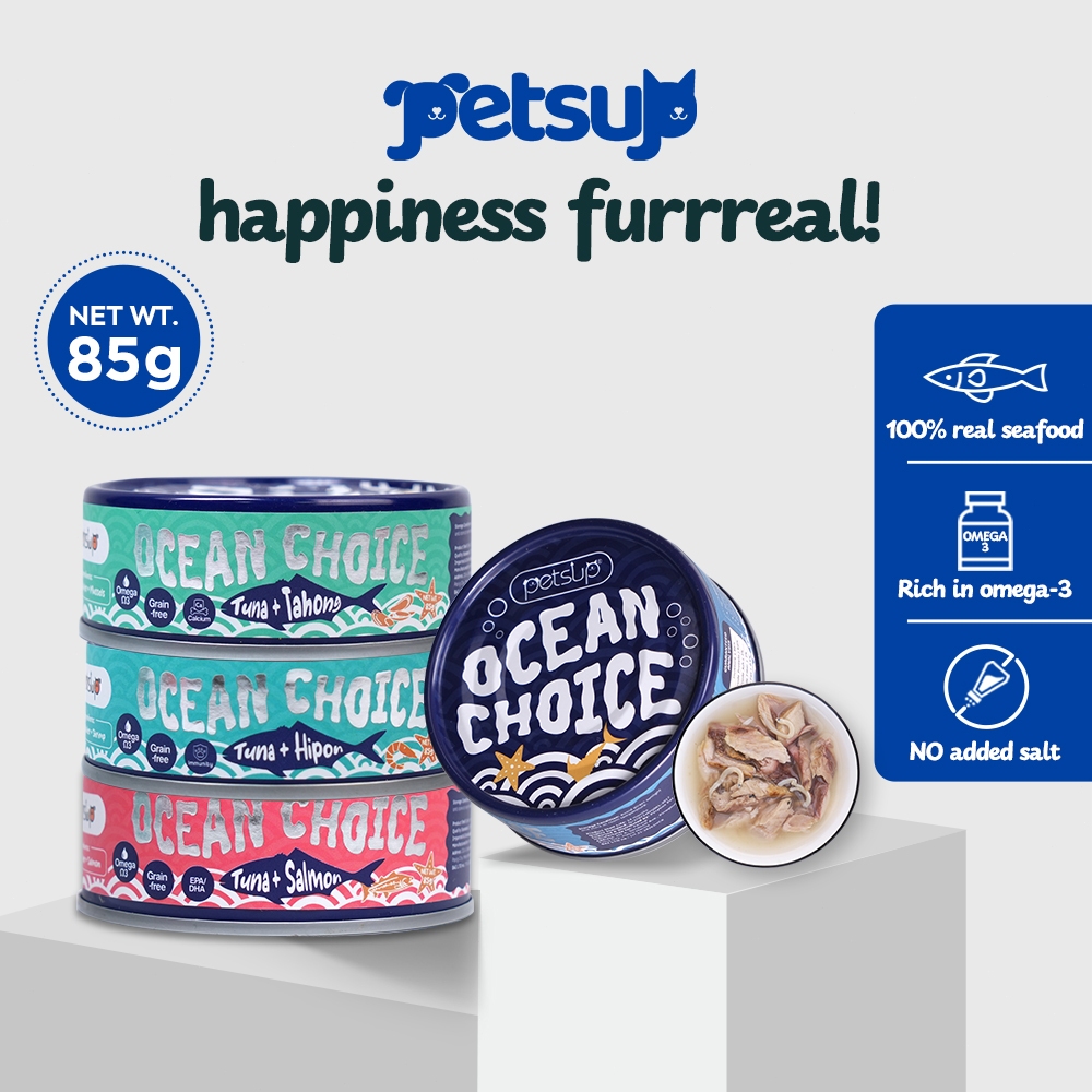 Beautiful view of Kittens Green Pea Fiber Wet Food With Omega-3