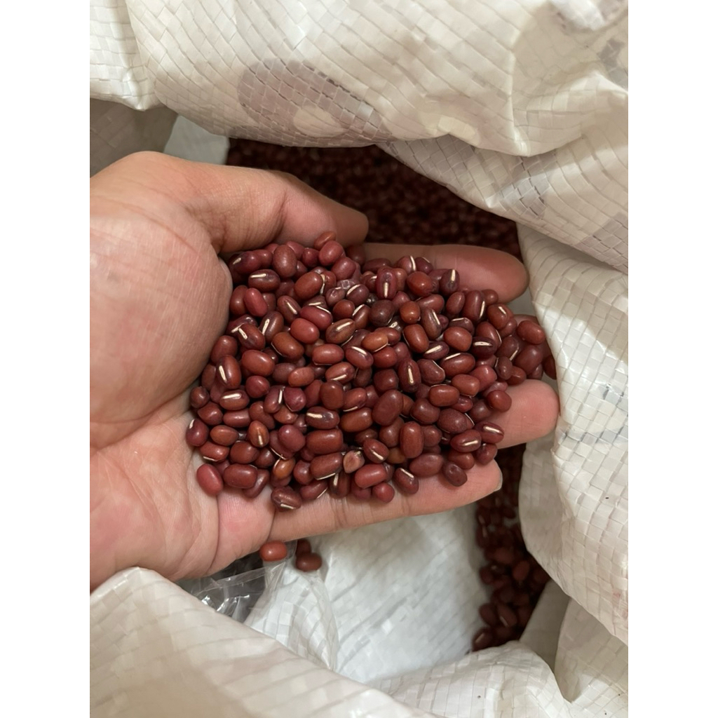PREMIUM RED MONGO 500g or 1kg | Shopee Philippines