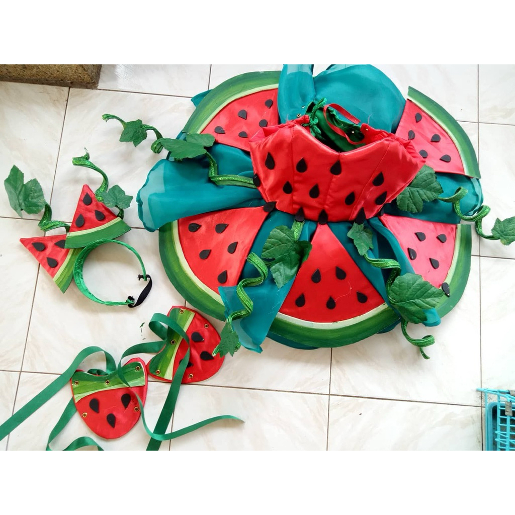 Water Melon Costume for Nutrition Month | Shopee Philippines