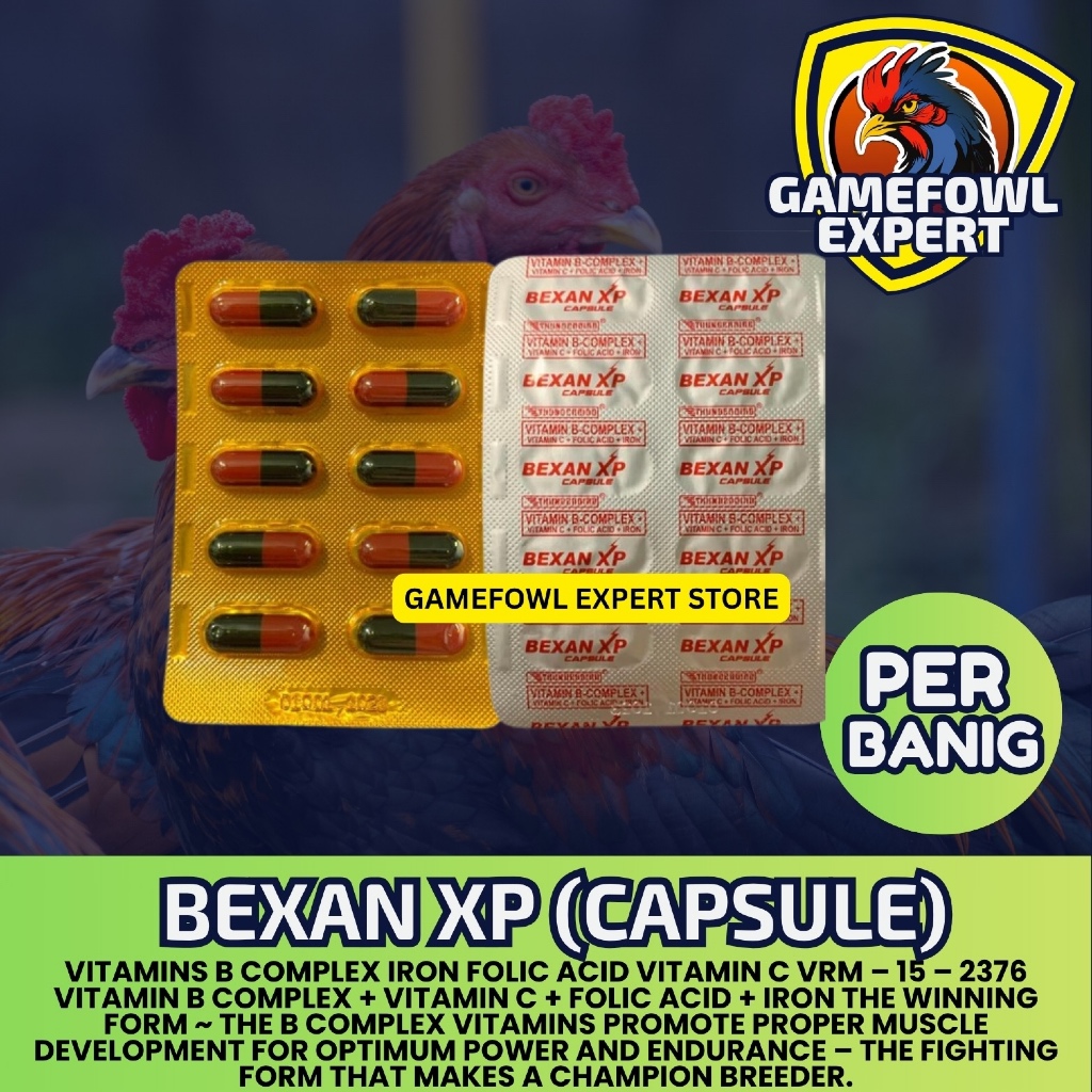 1 BANIG - Bexan XP 10 Capsules | Shopee Philippines