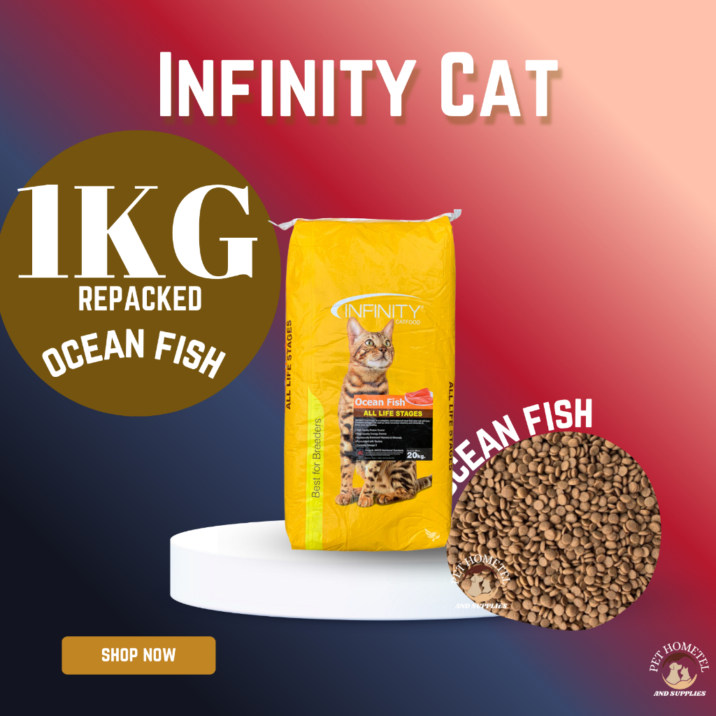 INFINITY CAT SALMON / OCEAN FISH 1KG REPACKED | Shopee Philippines