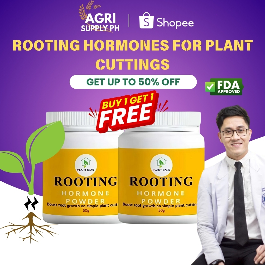 Super strong Rooting Hormone for cuttings 50G - Stimulates fast rooting ...