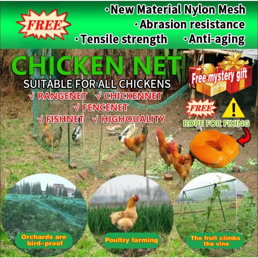 Chicken Net 20/50/100 Meters Poultry Net Farm Net Range Net Fish Net ...