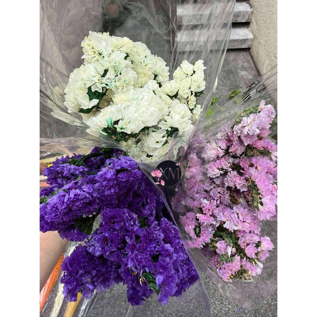 DRIED FLOWERS - Statice Per Stem | Shopee Philippines