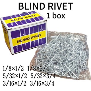 Preferred Blind Rivet SILVER Stanley/BLIND RIVETS/1 box | Shopee ...