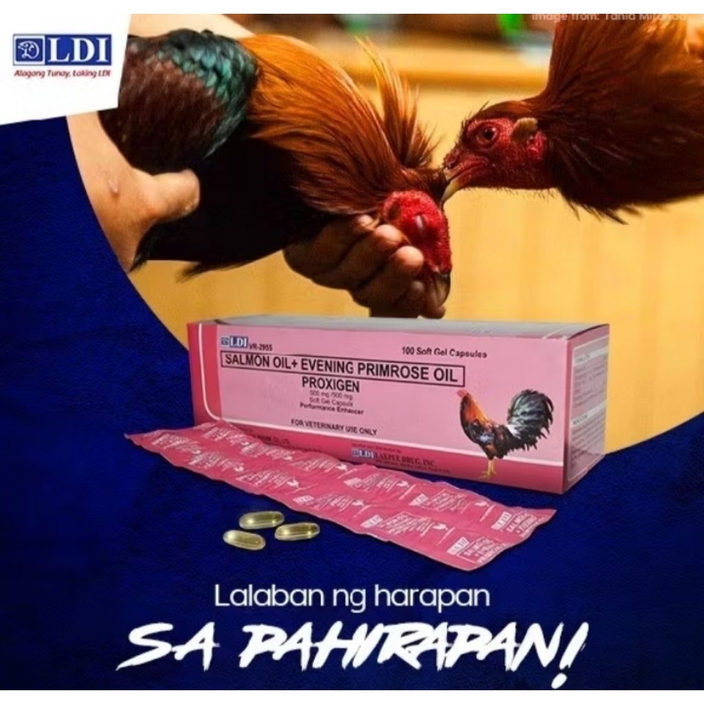 Proxigen Essential Fatty Acids 500mg For GameFowl Sold Per banig ...