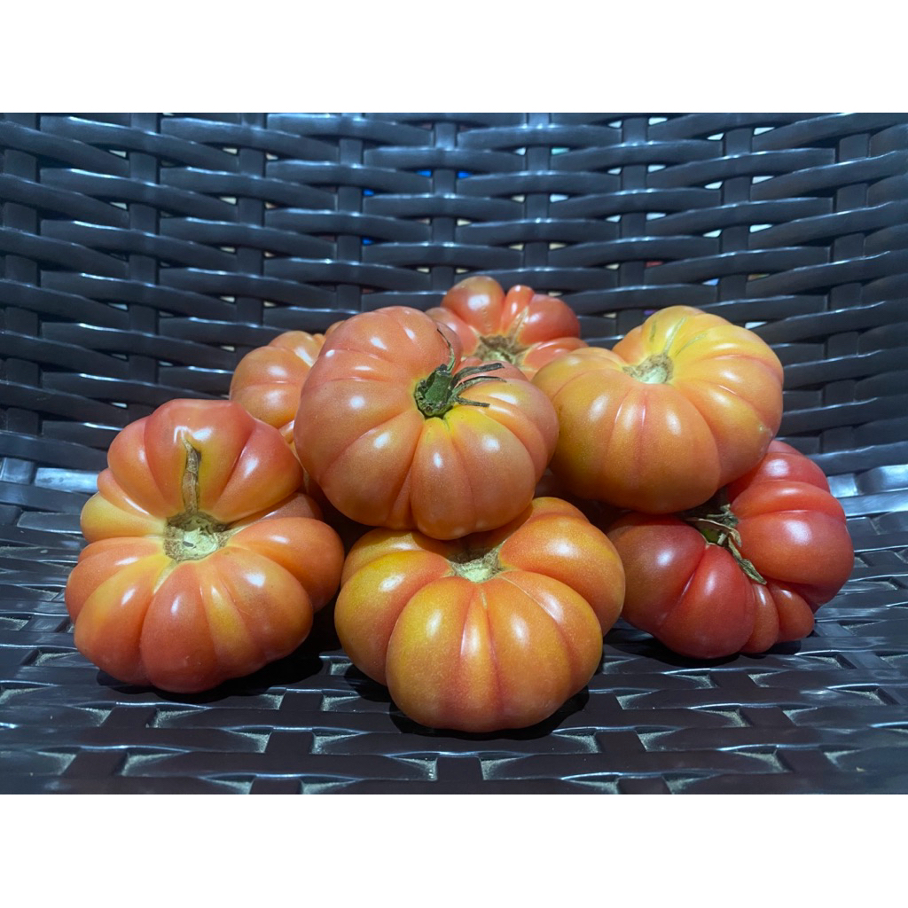 NATIVE TOMATO / KAMATIS TAGALOG | Shopee Philippines