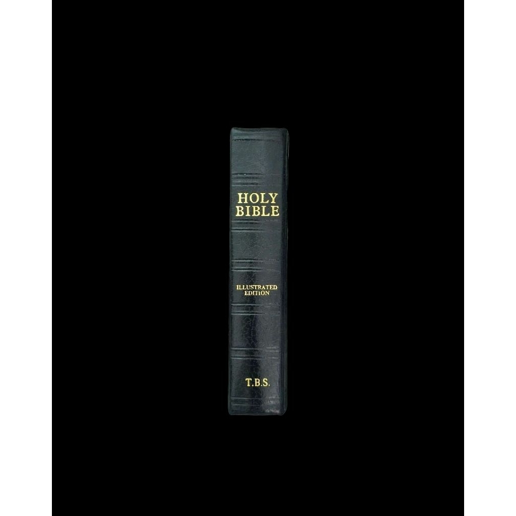 [Preloved] Holy Bible Illustrated (Pocket Size Hardbound) | Shopee ...