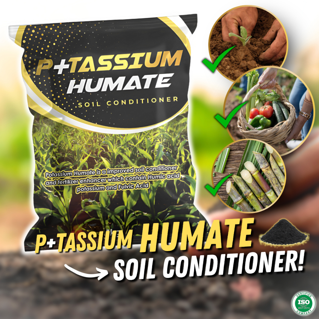 Potassium Humate / Soil Conditioner / Fertilizer Enhancer / Rice ...