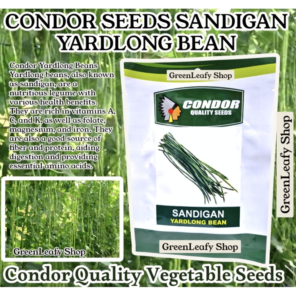 SITAW SANDIGAN YARDLONG BEAN 12g HOME GARDENING SUPPLIES VEGETABLE ...