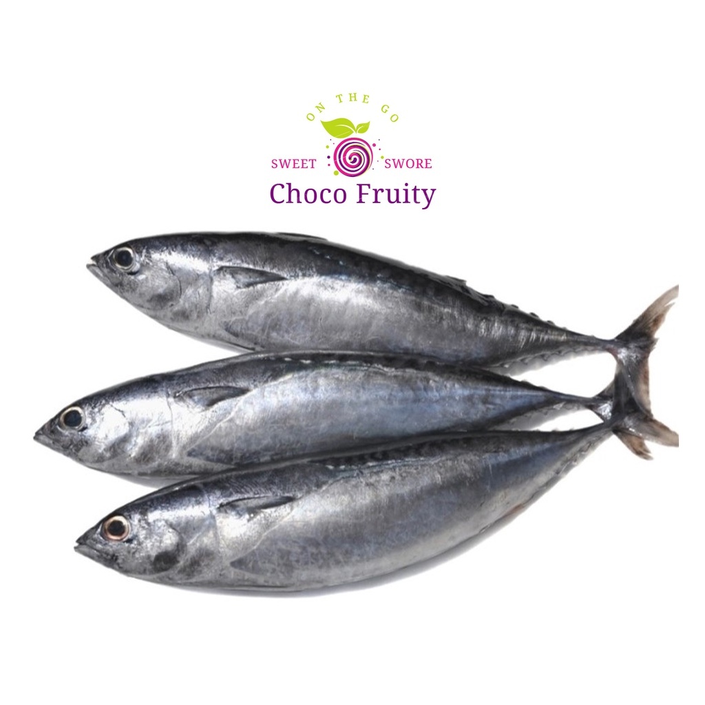 Fresh Tulingan (Skipjack Tuna) – 1kg | Metro Manila and Nearby Areas ...