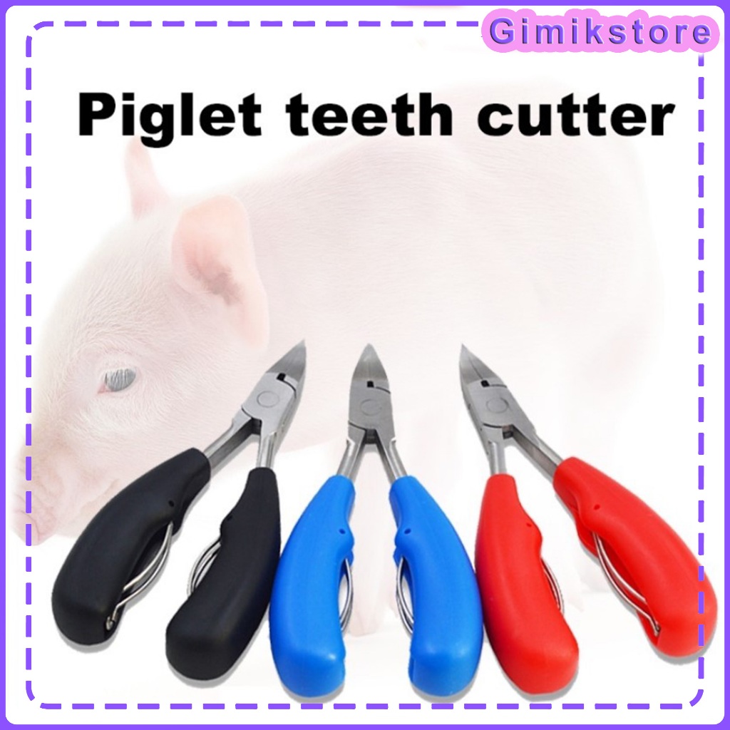 Stainless Steel Piglet Tooth Nipper,Heavy-Duty Sharp Bevel Cutter ...