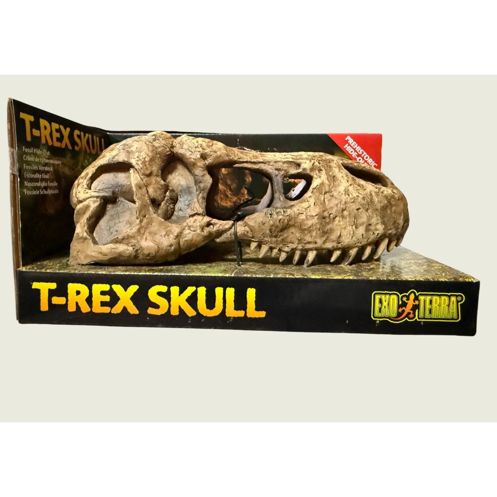 Exo Terra T-Rex Skull Hides for reptiles and amphibians (PPC) | Shopee ...