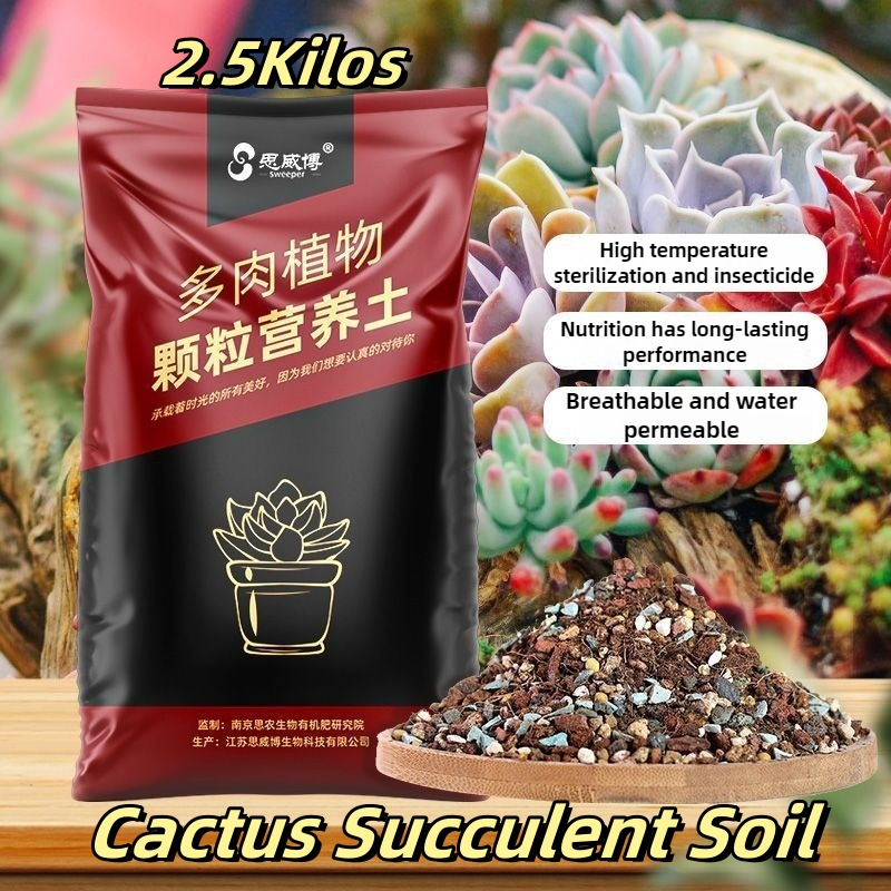 2.5kg Cactus & Succulent Soil Potting Mix Nutrient Soil For Gardening ...