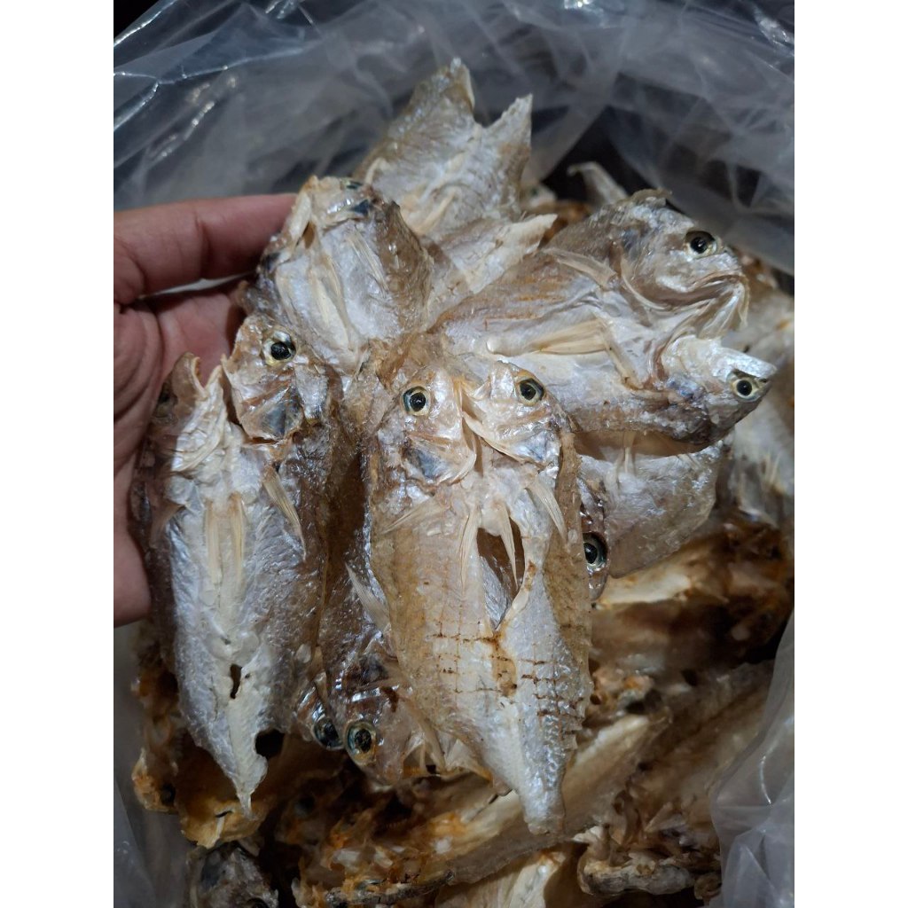 Danggit Bicol (Unsalted) 250g, 500g | Dried Fish | Shopee Philippines